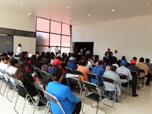Imagen 10